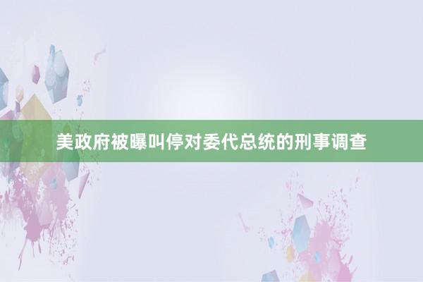 美政府被曝叫停对委代总统的刑事调查