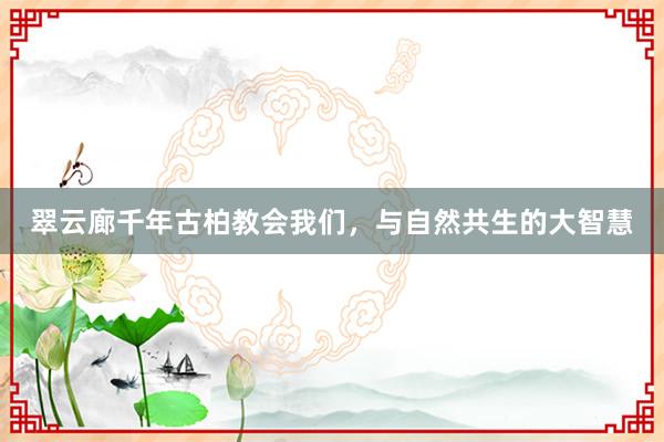 翠云廊千年古柏教会我们，与自然共生的大智慧
