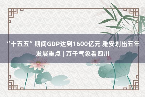 “十五五”期间GDP达到1600亿元 雅安划出五年发展重点 | 万千气象看四川