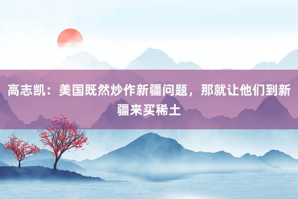 高志凯：美国既然炒作新疆问题，那就让他们到新疆来买稀土