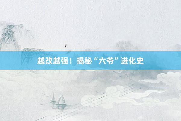 越改越强！揭秘“六爷”进化史