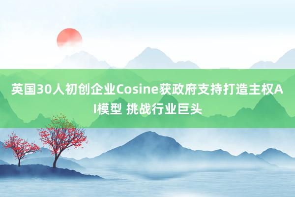 英国30人初创企业Cosine获政府支持打造主权AI模型 挑战行业巨头