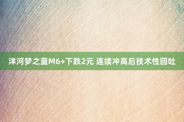 洋河梦之蓝M6+下跌2元 连续冲高后技术性回吐