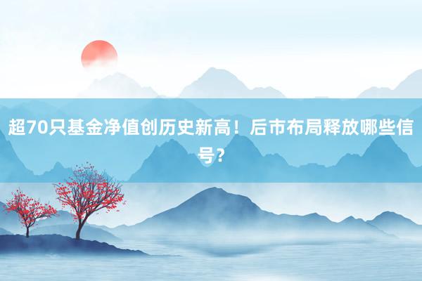 超70只基金净值创历史新高！后市布局释放哪些信号？