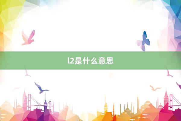 l2是什么意思