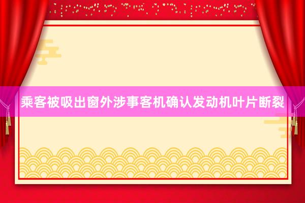 乘客被吸出窗外涉事客机确认发动机叶片断裂