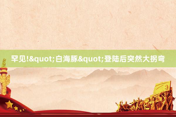 罕见!"白海豚"登陆后突然大拐弯
