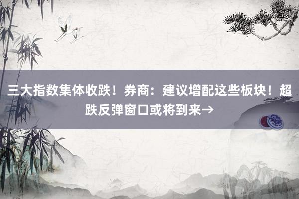 三大指数集体收跌！券商：建议增配这些板块！超跌反弹窗口或将到来→