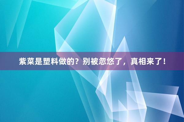 紫菜是塑料做的？别被忽悠了，真相来了！
