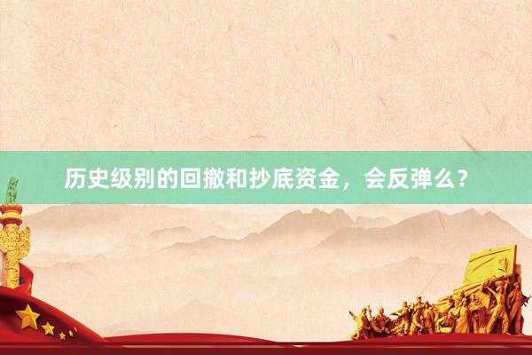 历史级别的回撤和抄底资金，会反弹么？