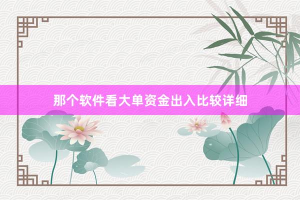 那个软件看大单资金出入比较详细