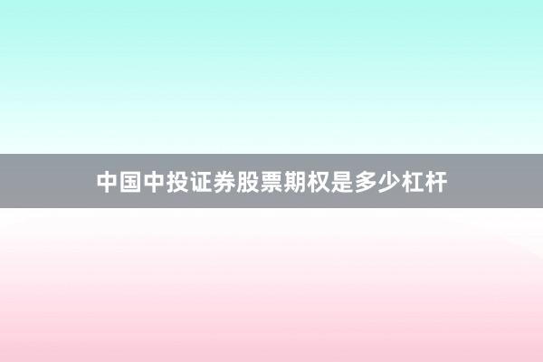中国中投证券股票期权是多少杠杆
