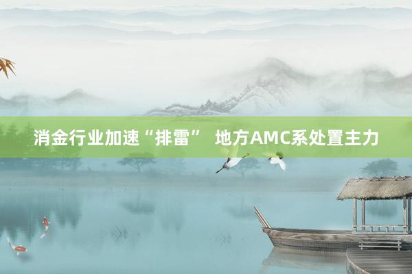 消金行业加速“排雷”  地方AMC系处置主力