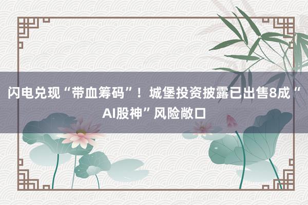 闪电兑现“带血筹码”！城堡投资披露已出售8成“AI股神”风险敞口
