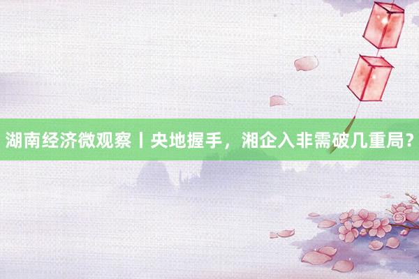 湖南经济微观察丨央地握手，湘企入非需破几重局？