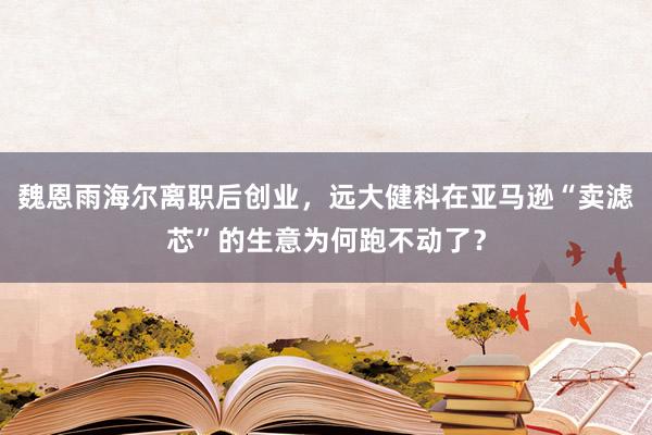 魏恩雨海尔离职后创业，远大健科在亚马逊“卖滤芯”的生意为何跑不动了？