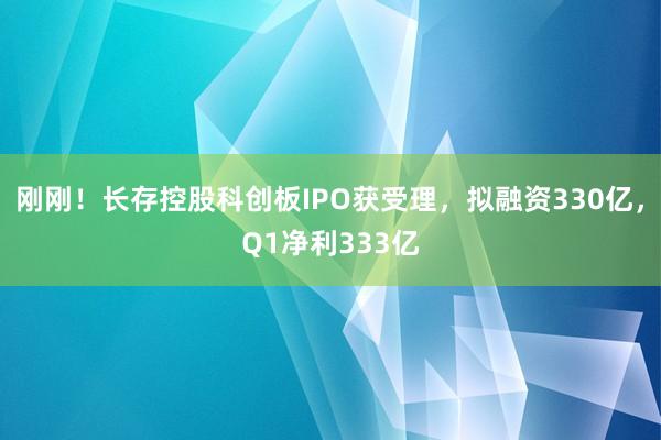 刚刚！长存控股科创板IPO获受理，拟融资330亿，Q1净利333亿