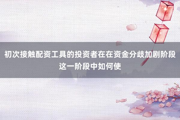初次接触配资工具的投资者在在资金分歧加剧阶段这一阶段中如何使