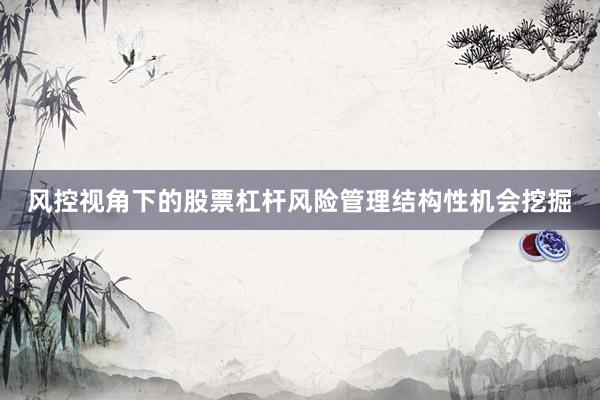 风控视角下的股票杠杆风险管理结构性机会挖掘