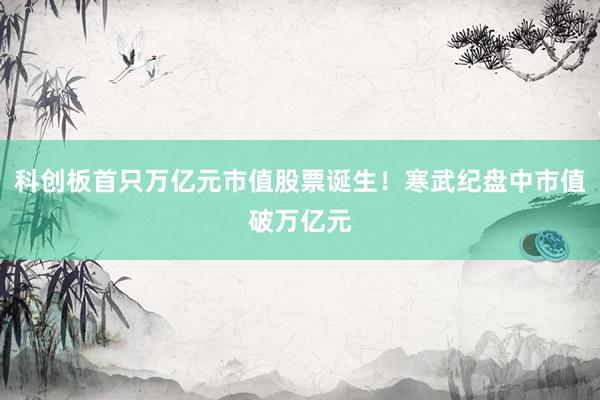 科创板首只万亿元市值股票诞生！寒武纪盘中市值破万亿元