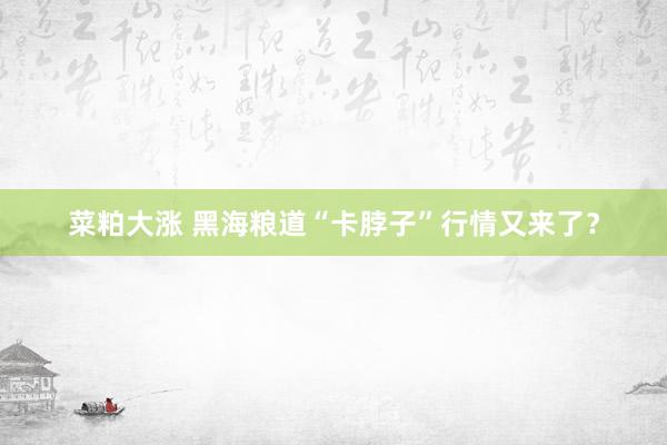 菜粕大涨 黑海粮道“卡脖子”行情又来了？