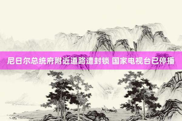 尼日尔总统府附近道路遭封锁 国家电视台已停播