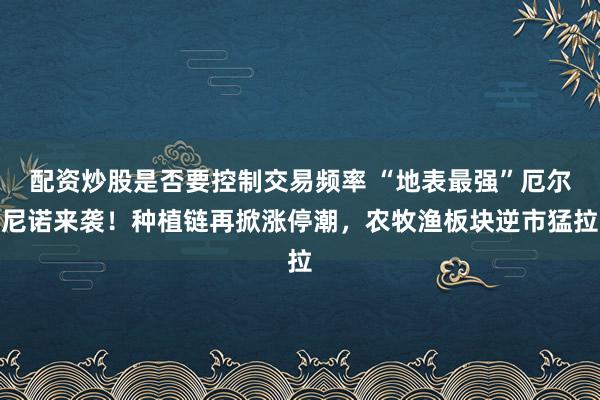 配资炒股是否要控制交易频率 “地表最强”厄尔尼诺来袭！种植链再掀涨停潮，农牧渔板块逆市猛拉