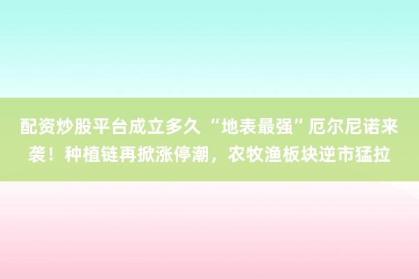 配资炒股平台成立多久 “地表最强”厄尔尼诺来袭！种植链再掀涨停潮，农牧渔板块逆市猛拉