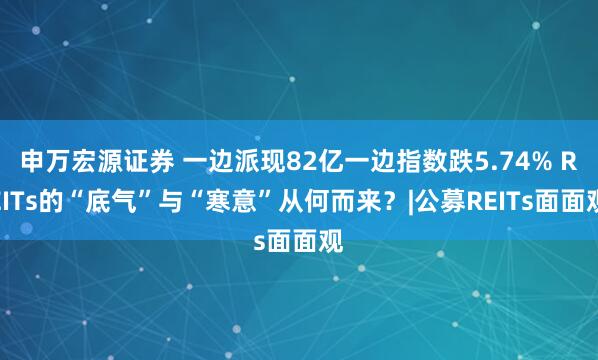 申万宏源证券 一边派现82亿一边指数跌5.74% REITs的“底气”与“寒意”从何而来？|公募REITs面面观