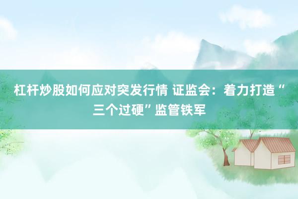 杠杆炒股如何应对突发行情 证监会：着力打造“三个过硬”监管铁军