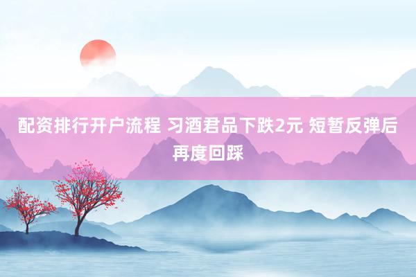 配资排行开户流程 习酒君品下跌2元 短暂反弹后再度回踩