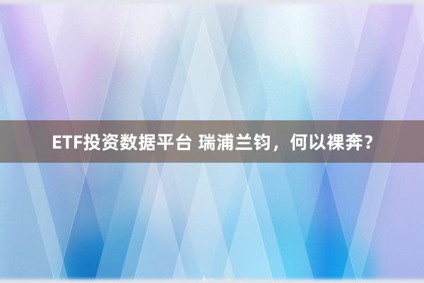 ETF投资数据平台 瑞浦兰钧，何以裸奔？