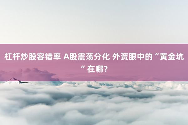 杠杆炒股容错率 A股震荡分化 外资眼中的“黄金坑”在哪？