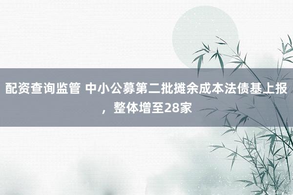 配资查询监管 中小公募第二批摊余成本法债基上报，整体增至28家