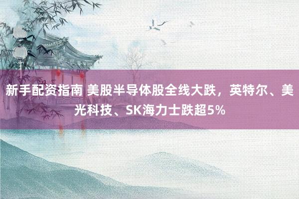 新手配资指南 美股半导体股全线大跌，英特尔、美光科技、SK海力士跌超5%