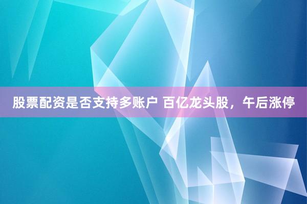 股票配资是否支持多账户 百亿龙头股，午后涨停
