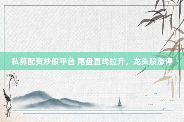 私募配资炒股平台 尾盘直线拉升,龙头股涨停