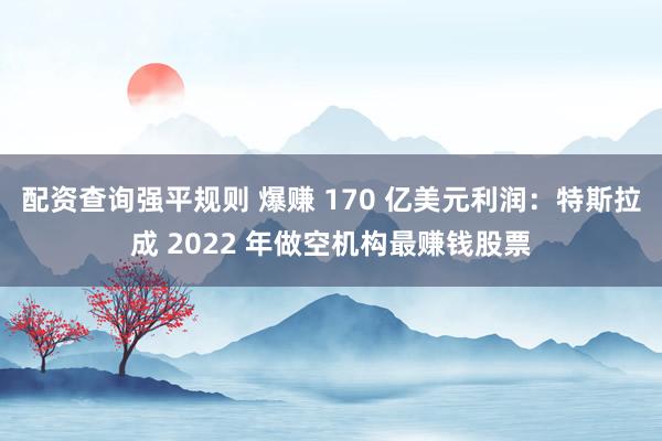 配资查询强平规则 爆赚 170 亿美元利润：特斯拉成 2022 年做空机构最赚钱股票