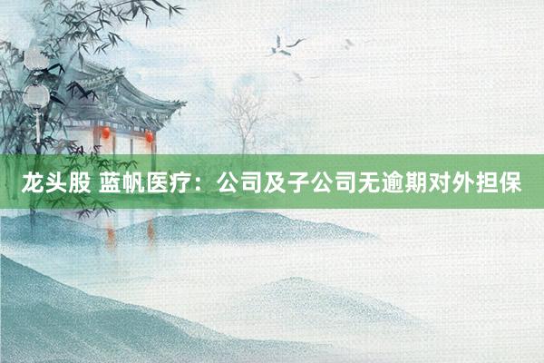 龙头股 蓝帆医疗：公司及子公司无逾期对外担保