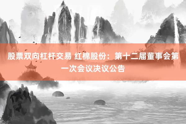 股票双向杠杆交易 红棉股份：第十二届董事会第一次会议决议公告