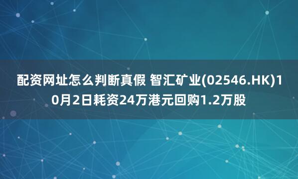 配资网址怎么判断真假 智汇矿业(02546.HK)10月2日耗资24万港元回购1.2万股