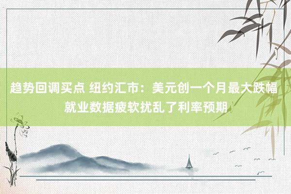 趋势回调买点 纽约汇市：美元创一个月最大跌幅 就业数据疲软扰乱了利率预期