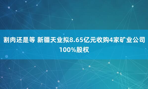 割肉还是等 新疆天业拟8.65亿元收购4家矿业公司100%股权